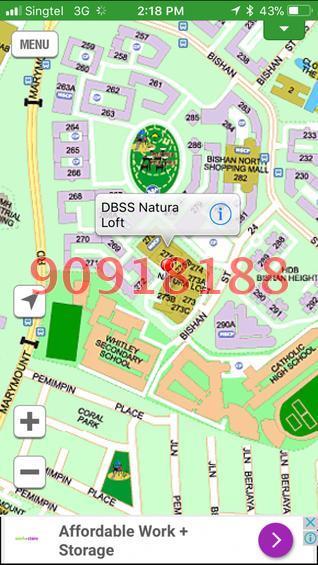 Blk 273B Natura Loft (Bishan), HDB 5 Rooms #156121772